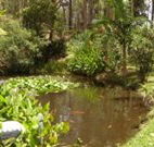 Tallowood Ridge B and B - Accommodation Port Macquarie