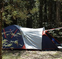 Thungutti campground - Accommodation Port Macquarie