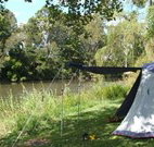 Williams River Holiday Park - Accommodation Port Macquarie
