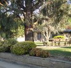 Hamilton Hume Motor Inn - Yass - Accommodation Port Macquarie