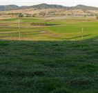 Leconfield House - Leconfield - Accommodation Port Macquarie