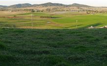 Leconfield House - Leconfield - Accommodation Port Macquarie 0