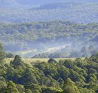 Nowendoc Country Motel - Nowendoc - Accommodation Port Macquarie
