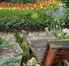 The Carrington Inn - Accommodation Port Macquarie