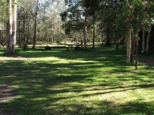 Jervis Bay Cabins And Hidden Creek Real Camping - Accommodation Port Macquarie 5