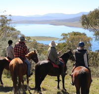 Reynella Homestead and Horseback Rides - Accommodation Port Macquarie
