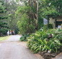 Tamborine Mountain Caravan  Camping - Accommodation Port Macquarie