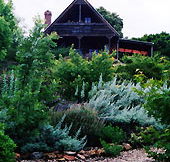 Country Charm Swiss Cottages - Accommodation Port Macquarie