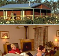 Twin Trees Country Cottages - Accommodation Port Macquarie