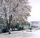 Maneroo Motel - Accommodation Port Macquarie