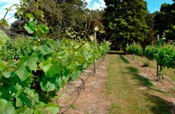 Between The Bays Retreat - Accommodation Port Macquarie 2