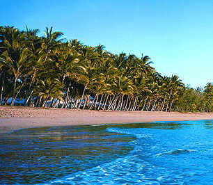 Novotel Palm Cove Resort - Accommodation Port Macquarie 1