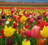 Golfview Lodge - Accommodation Port Macquarie