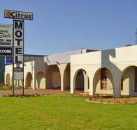 Citrus Motel - Accommodation Port Macquarie