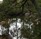 Hidden Valley Farm - Accommodation Port Macquarie