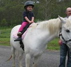 Mansfield Cottage Barrington Tops Accommodation - Accommodation Port Macquarie