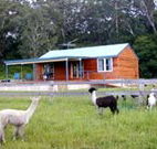 Moorallie Cottage Farm Stay - Accommodation Port Macquarie