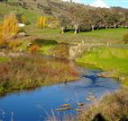 Ralda's Cottage - Accommodation Port Macquarie