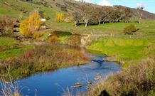 Ralda's Cottage - Accommodation Port Macquarie 0