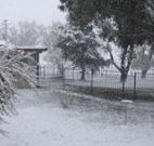 Tirrintippin - Accommodation Port Macquarie