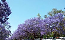 Andavine House Bed And Breakfast - Accommodation Port Macquarie 5