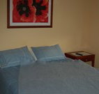 Busy Buzz - Accommodation Port Macquarie