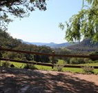 Cedar Grove - - Accommodation Port Macquarie