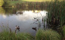 East Bowral NSW Accommodation Port Macquarie