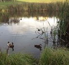 Harewood House Bed and Breakfast - Accommodation Port Macquarie