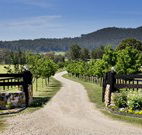 Pemberley Grange Hunter Valley Getaway - Accommodation Port Macquarie