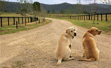 Pemberley Grange Hunter Valley Getaway - Accommodation Port Macquarie 1