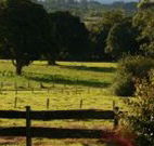Pines on the Plateau - Accommodation Port Macquarie