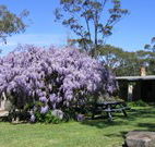 Studio Cottages - Accommodation Port Macquarie