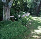 Tallawalla Retreat - Accommodation Port Macquarie