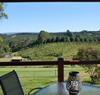 The Shed B and B - Accommodation Port Macquarie