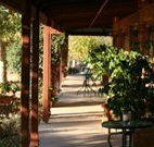 The Vineyard Motel - Accommodation Port Macquarie