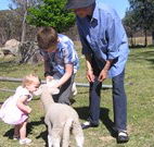 Yarralong BnB and Farm Stay - Accommodation Port Macquarie