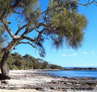 David Jones Cottage - Accommodation Port Macquarie