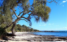David Jones Cottage - Accommodation Port Macquarie 0