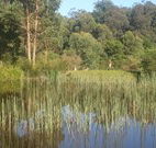 Fosterton Lodge Retreat - Accommodation Port Macquarie