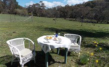 Pinegrove Cottage - Accommodation Port Macquarie 5