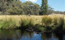 Pinegrove Cottage - Accommodation Port Macquarie 3