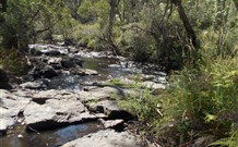 Pinegrove Cottage - Accommodation Port Macquarie 4