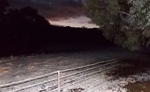 Pinegrove Cottage - Accommodation Port Macquarie 7