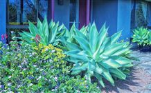 Jerrys Plains NSW Accommodation Port Macquarie