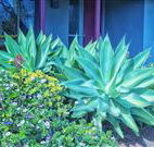 Retreat Homestead - Accommodation Port Macquarie