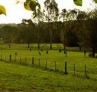 Stone Cottage Mittagong - Accommodation Port Macquarie