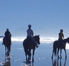 The Hayloft - Accommodation Port Macquarie