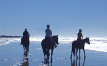 The Hayloft - Accommodation Port Macquarie 0