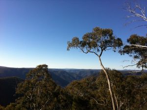 Cheyenne Wilderness Farmstay - Accommodation Port Macquarie 5